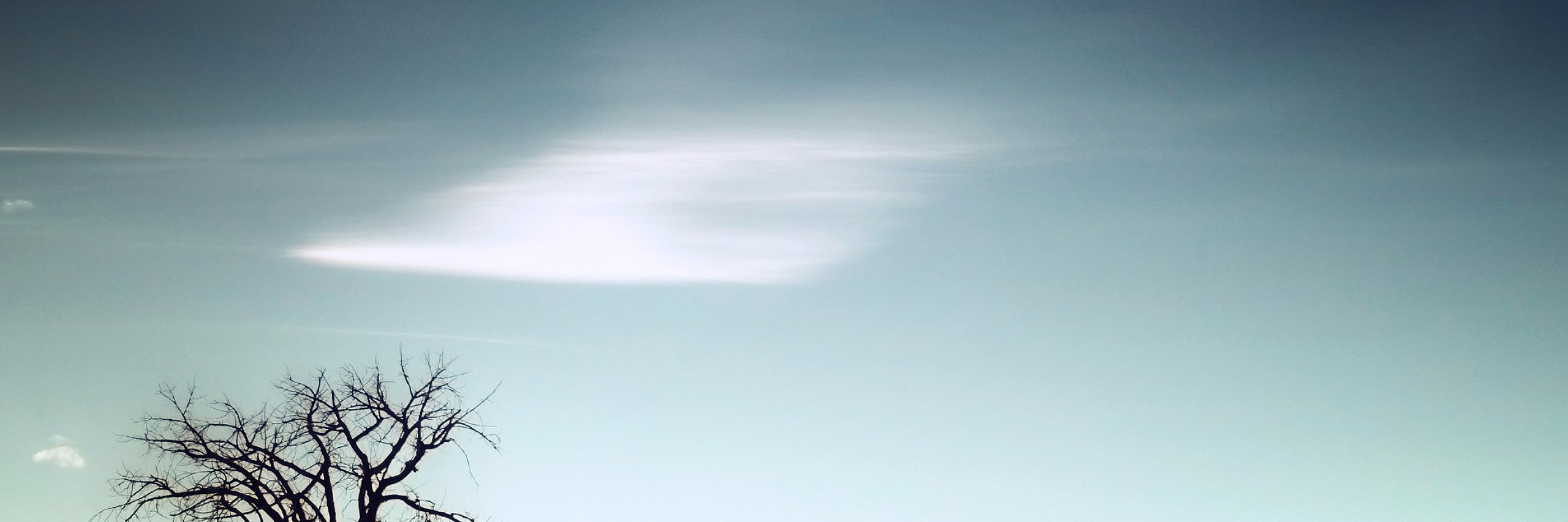 Skou's profile banner image