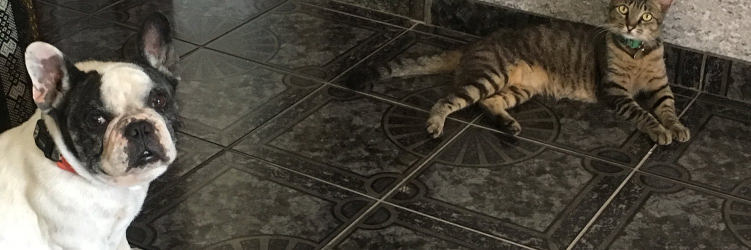 Fillipecalixto's profile banner image