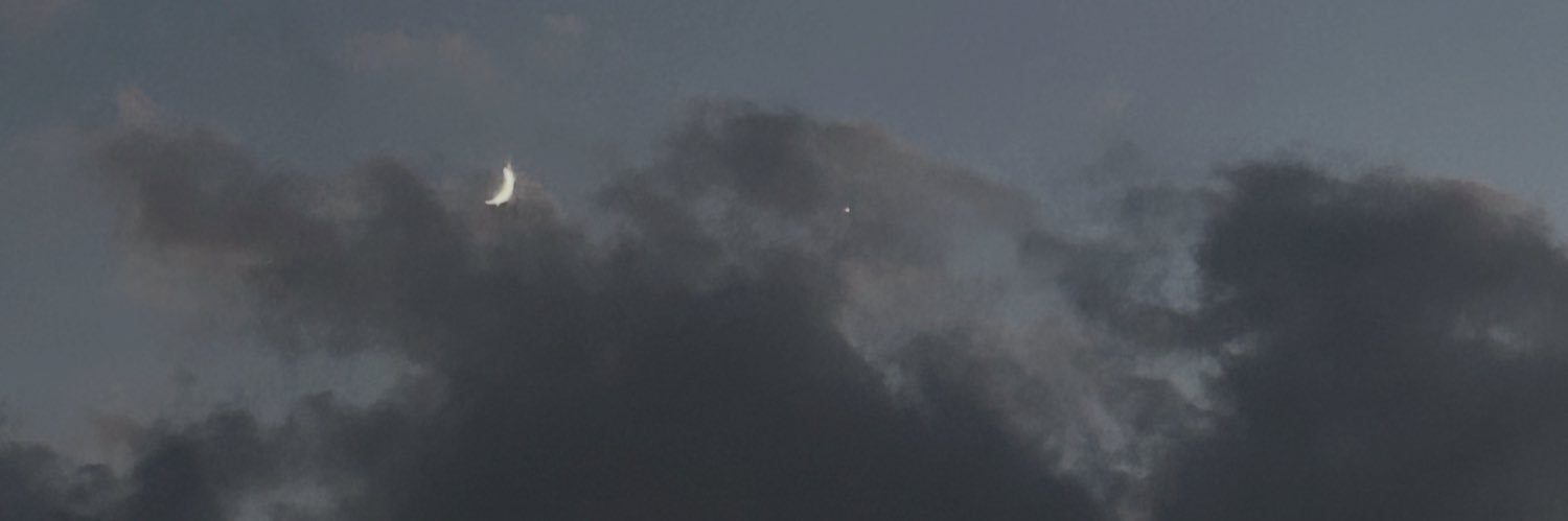 りぜと愉快な仲間たち banner