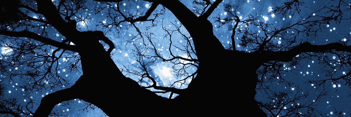 ZaynyOne's profile banner image