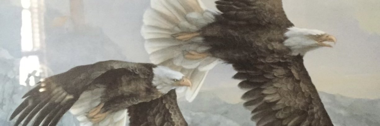 horryeagle's profile banner image