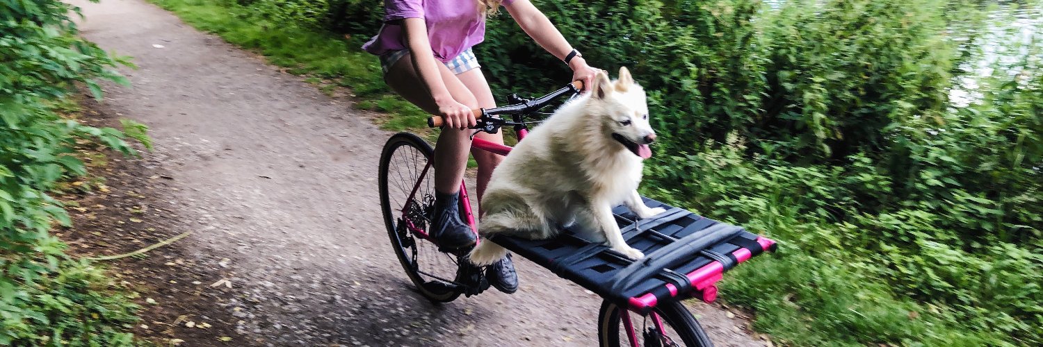 honor elliott banner