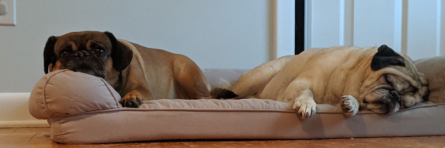 JayMDay's profile banner image