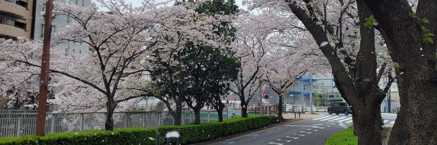 めんだこ2@ヤチ推し banner