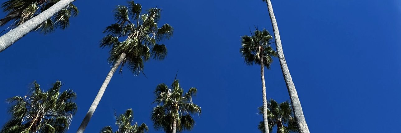 Ty Carson banner
