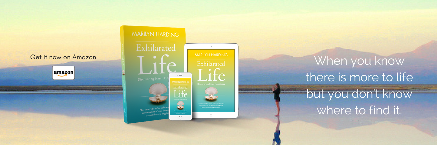 MarilynHarding's profile banner image