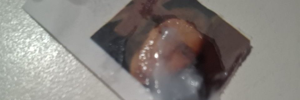 Reilly Bennett Facts banner