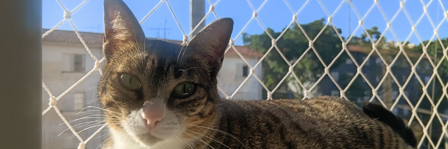 LacerdaFutebol's profile banner image