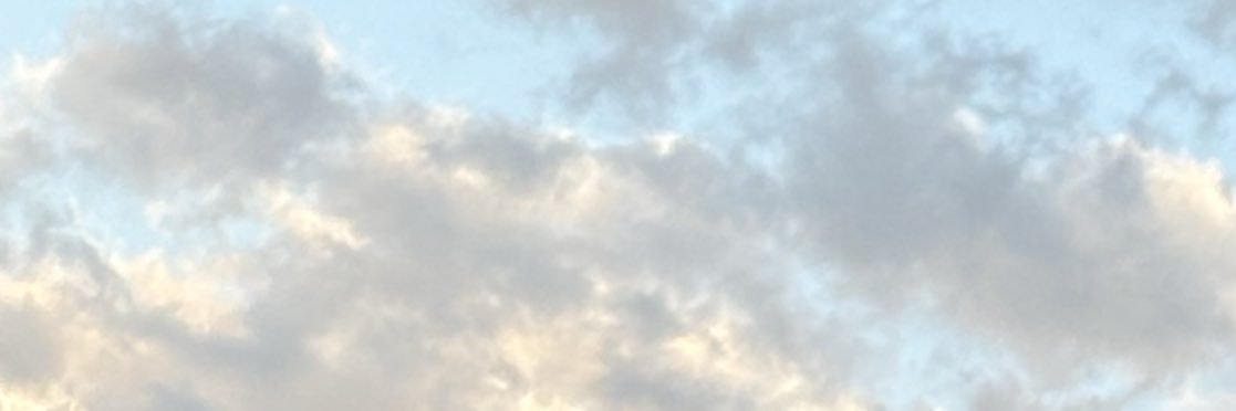 たそがの banner