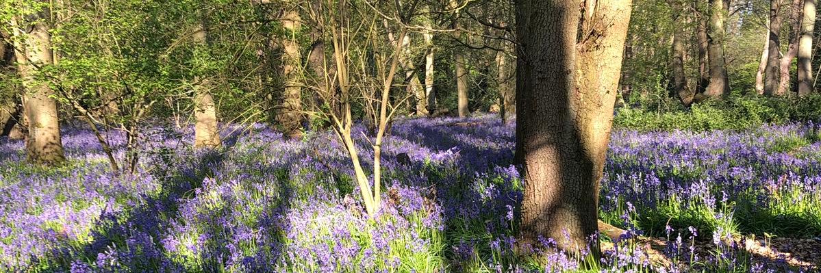Karla Gardner banner