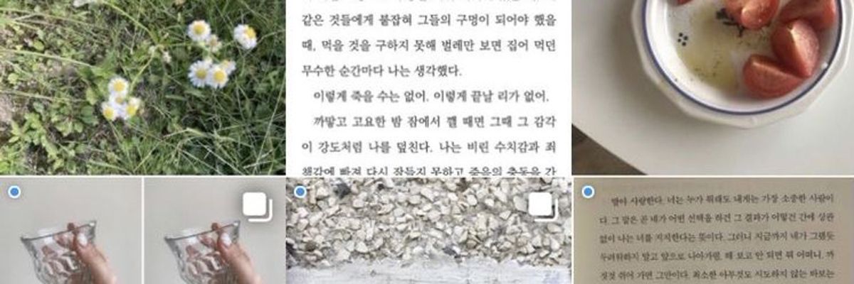 gib 🍁 limited again banner