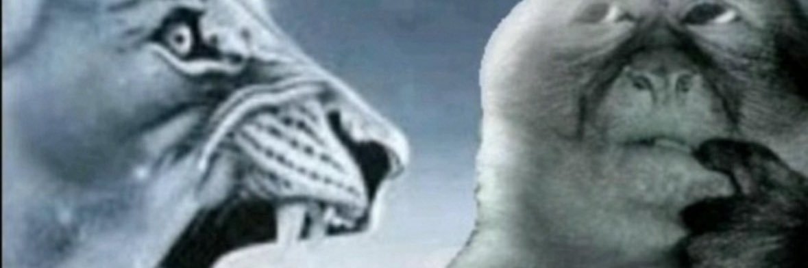 Jonnu Smith Hater banner