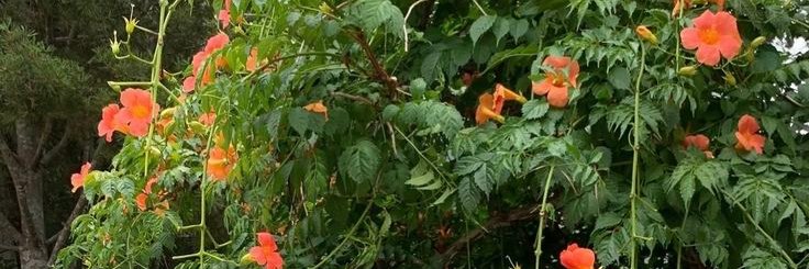 cila🫧 | Joki Tugas banner