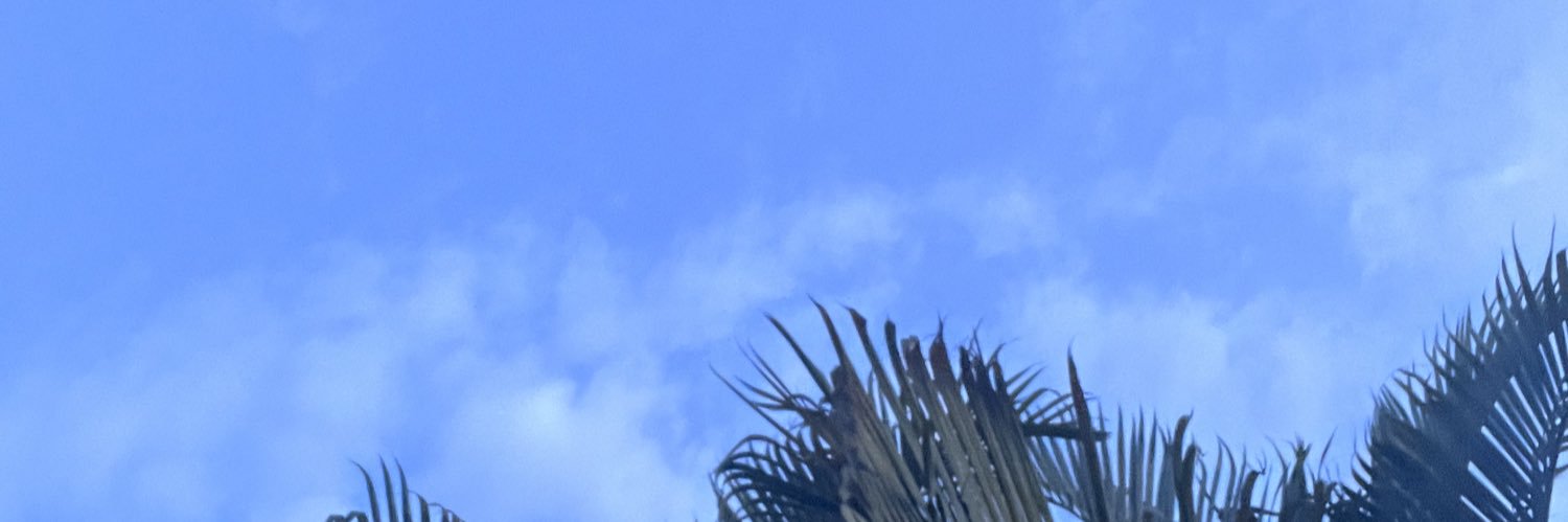 aby_romerobl's profile banner image