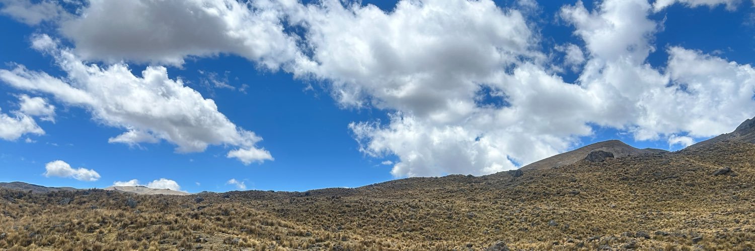 _viquica's profile banner image