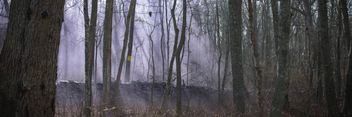 ellenhyde1's profile banner image