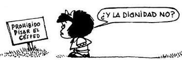 Argelia Guédez banner