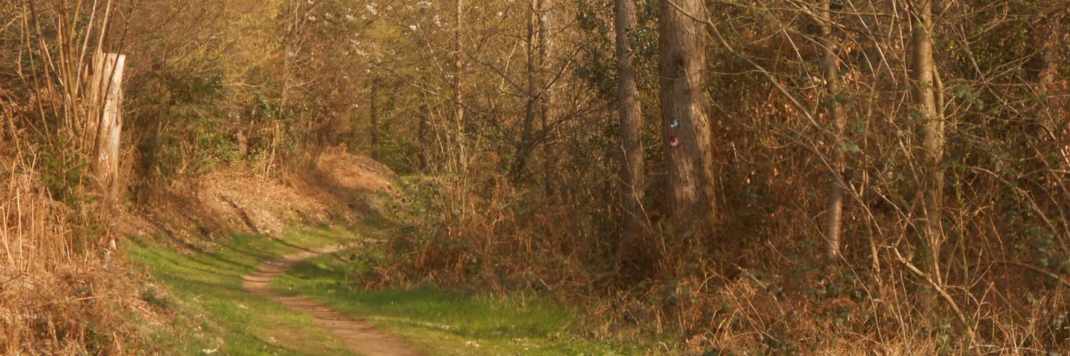 witchyjuliaaa's profile banner image