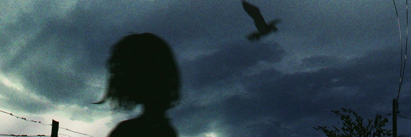 Am6rac3's profile banner image