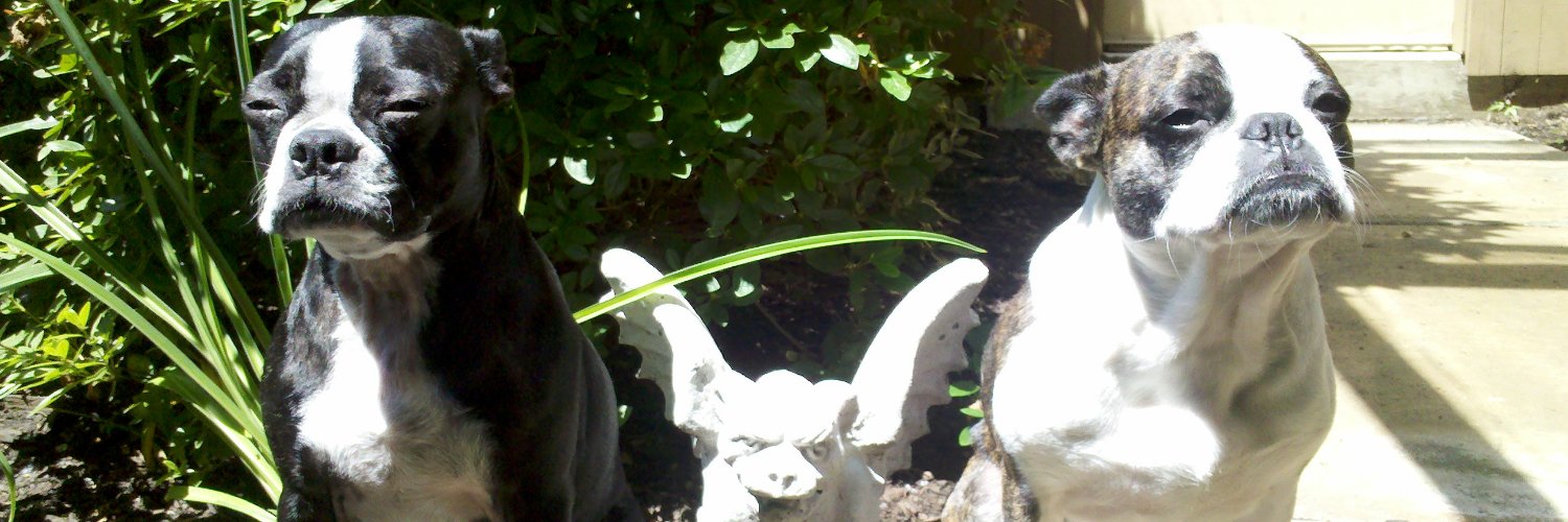 adwriter23's profile banner image