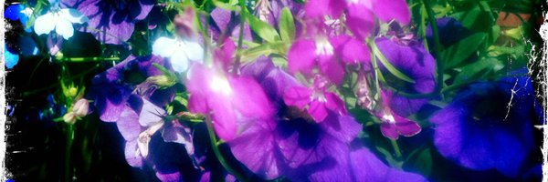 sargent65 Profile Banner