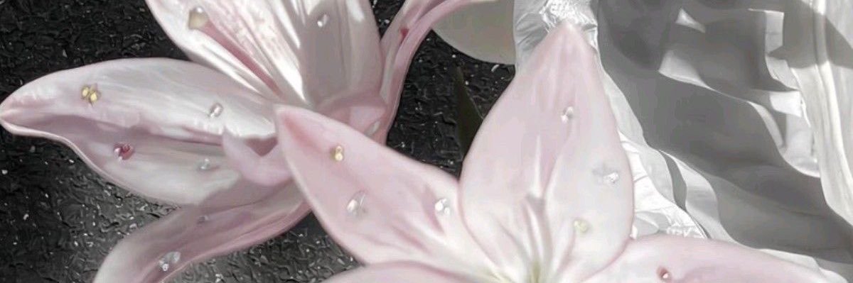 qutie banner