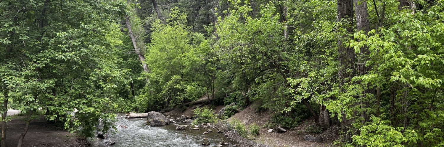 David Michael banner