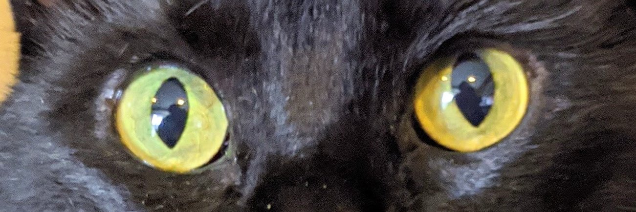 tcsduo's profile banner image