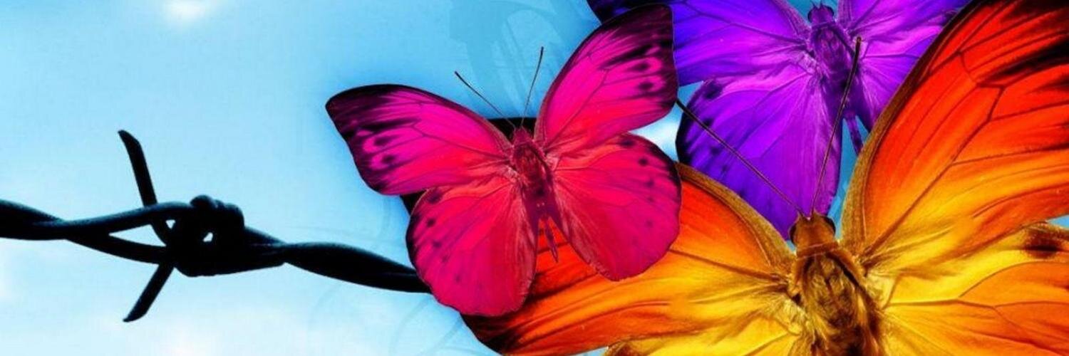 michelle_gv's profile banner image
