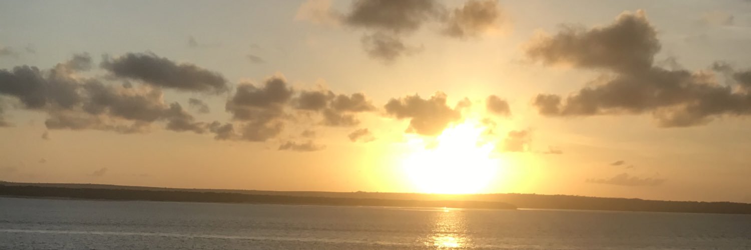 Apriscila's profile banner image