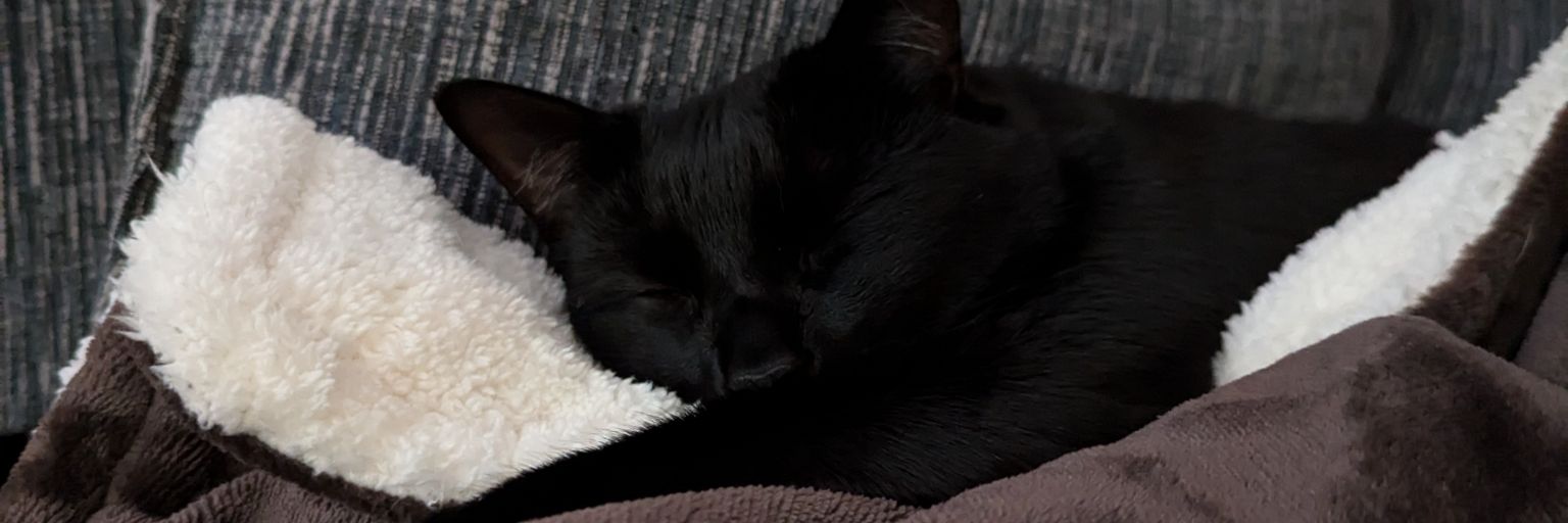 fudgefairy's profile banner image