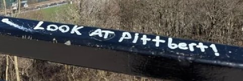 legally incorrect the pitt banner