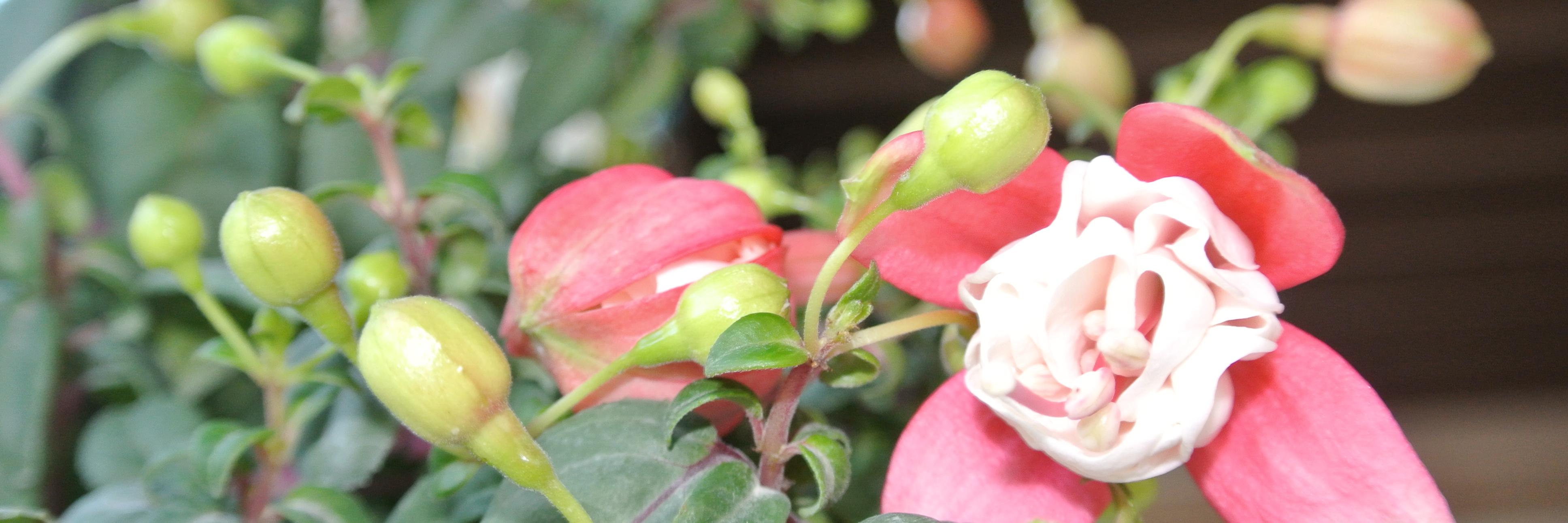 MarilynInMiami's profile banner image