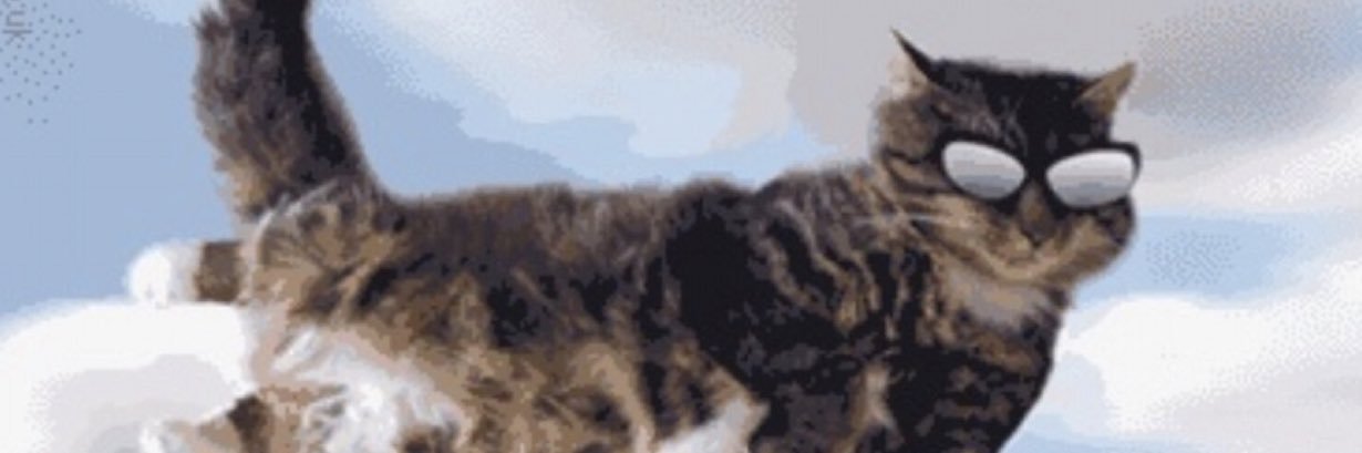 erincaase's profile banner image