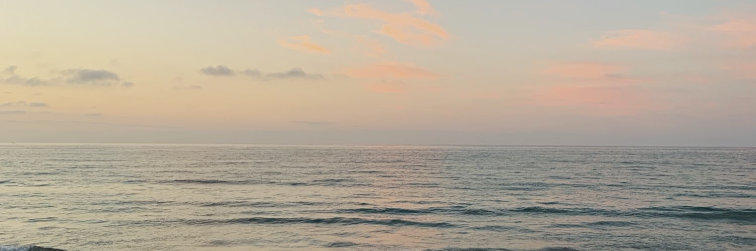 CrowDrowned's profile banner image