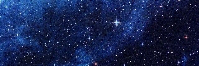Alvi banner