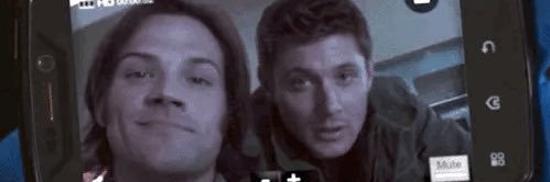 sammy 🐾 banner