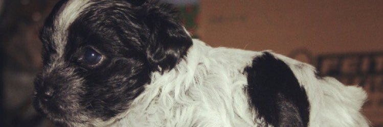 chris890_'s profile banner image