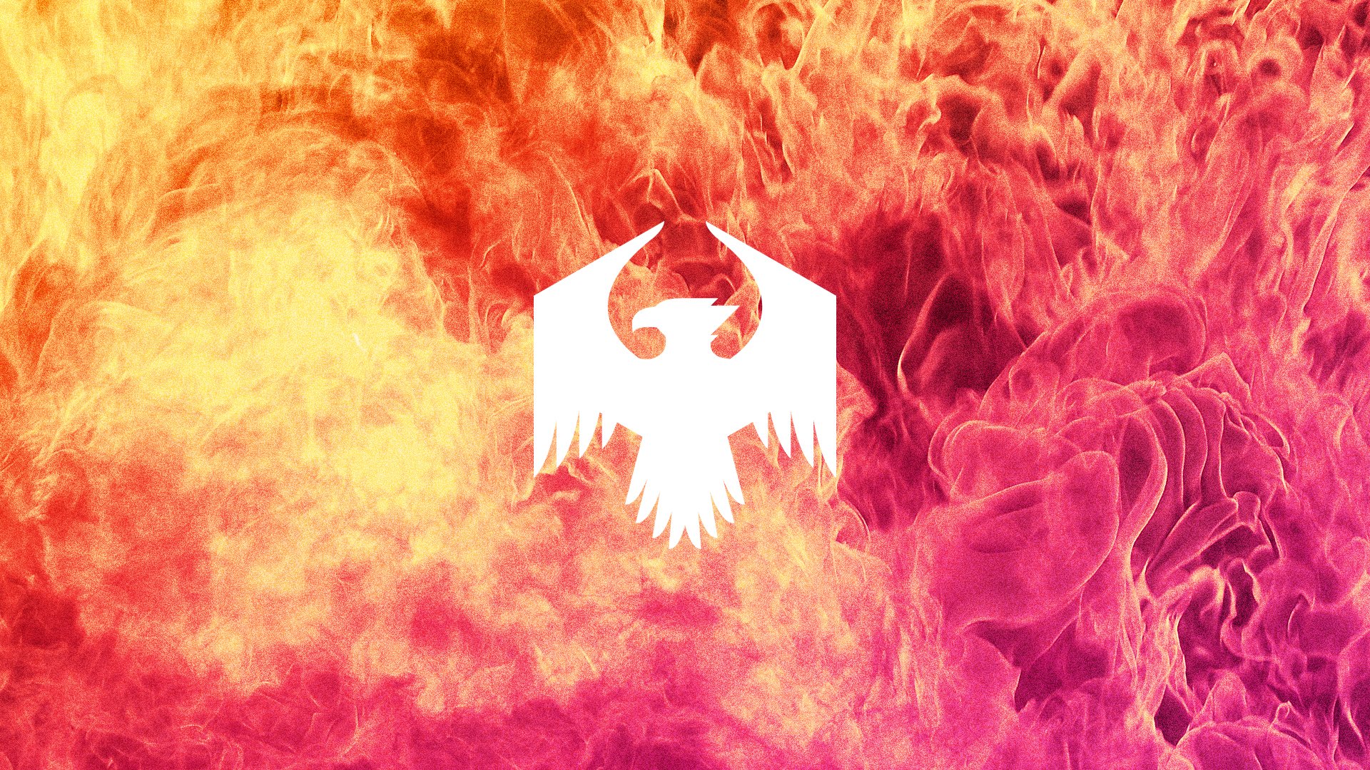 palebird's profile banner image