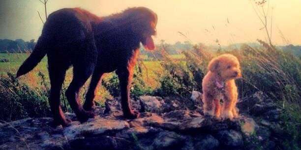 YakovQPR 🎗 🧡 banner