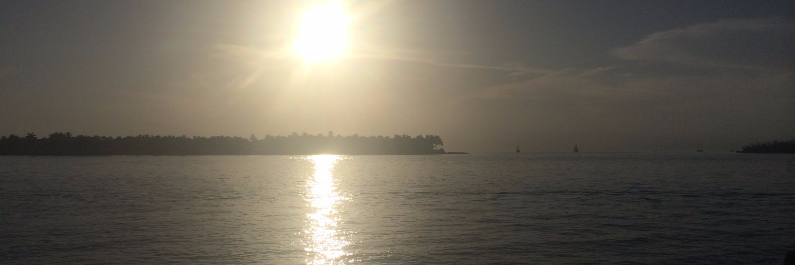 Simon Phillips banner