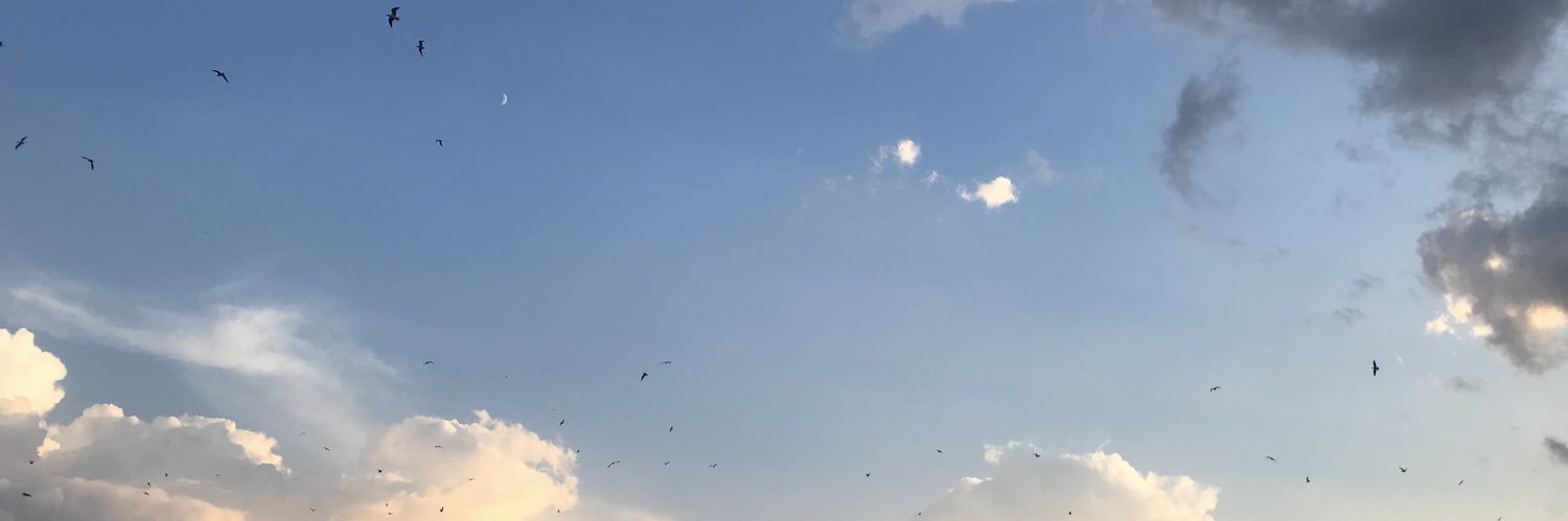 MsKayBaby2's profile banner image