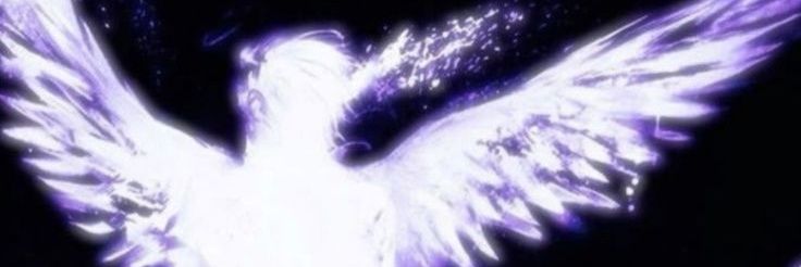 codeinexia's profile banner image