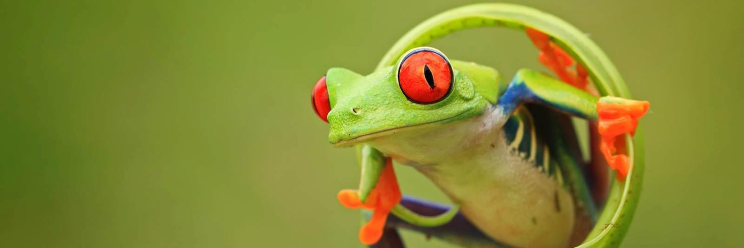 Henry Luis Pérez G. banner