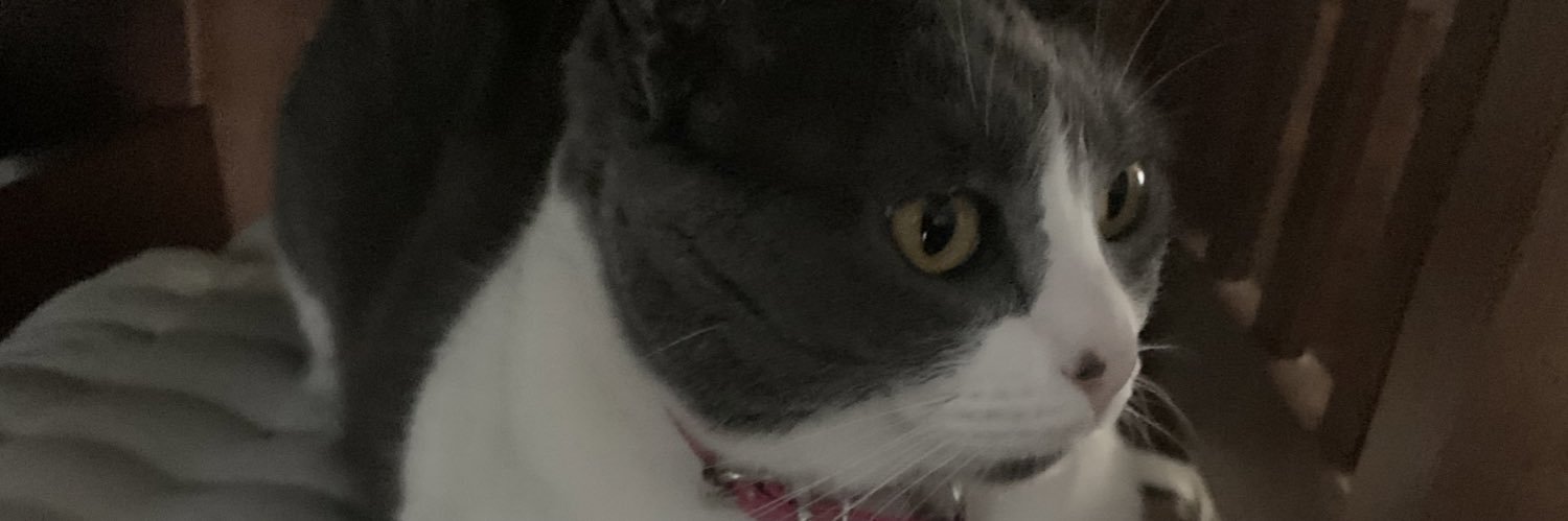 mmeess's profile banner image