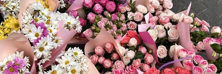 𝕥𝕟 ᰔᩚ banner