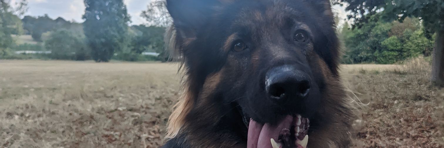 Baronoli's profile banner image