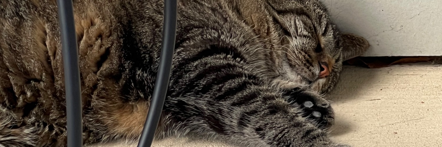 kstarkss's profile banner image