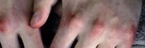 fufu banner