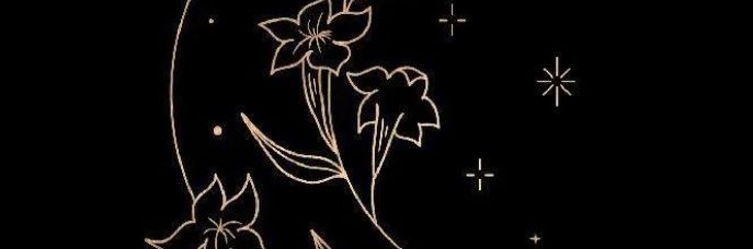 𝕷𝐲𝖓𝖝 banner